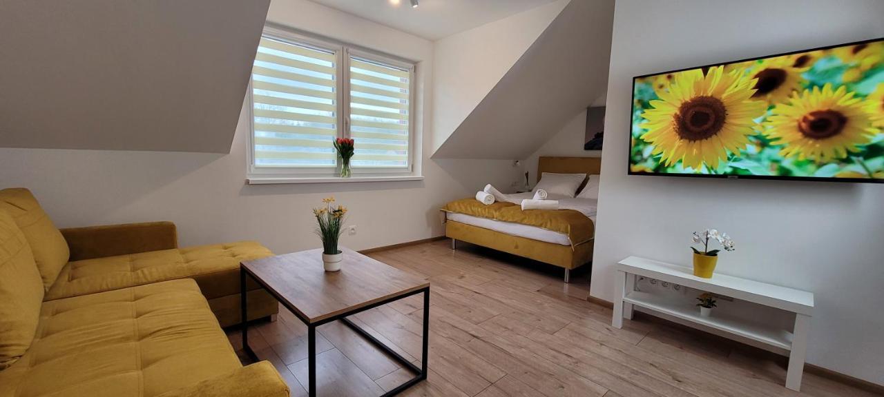 Kolorowe Cieplice - Apartamenty Z Widokiem Na Karkonosze Єленя-Ґура Екстер'єр фото