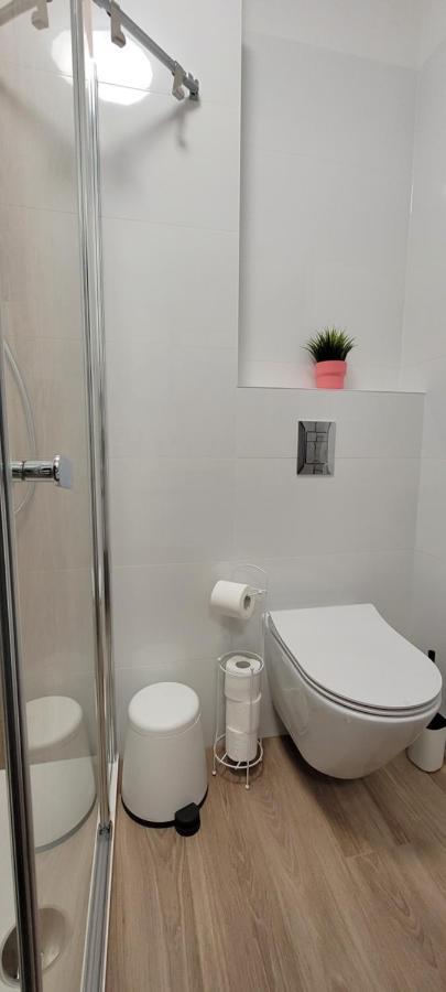 Kolorowe Cieplice - Apartamenty Z Widokiem Na Karkonosze Єленя-Ґура Екстер'єр фото