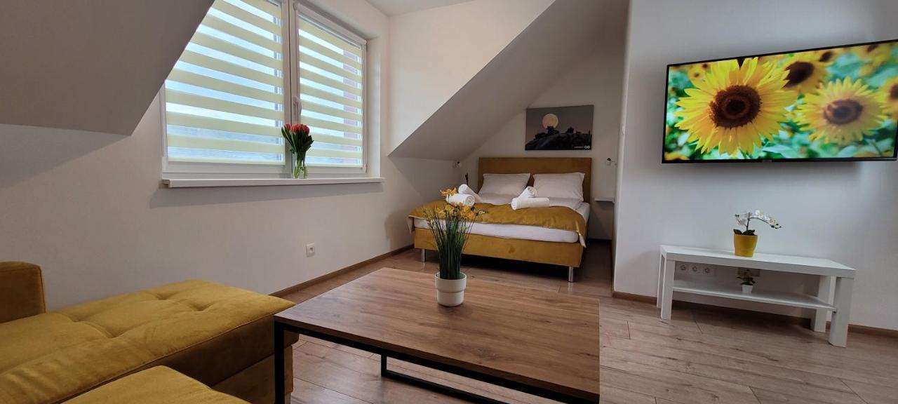 Kolorowe Cieplice - Apartamenty Z Widokiem Na Karkonosze Єленя-Ґура Екстер'єр фото